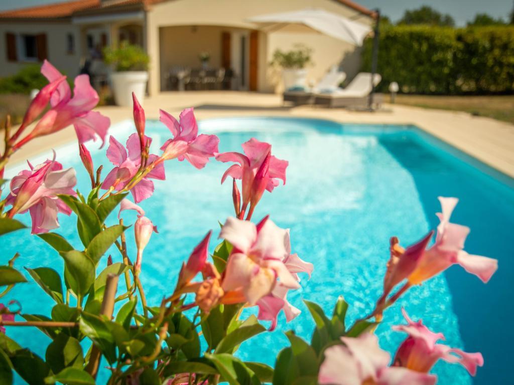 Les Graves – Maison 6 personnes avec piscine près de Cahors - Photo 20