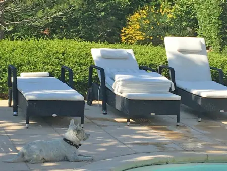Mas provençal XVIIIe avec piscine chauffée à Montaulieu, 14 pers. : photo 35