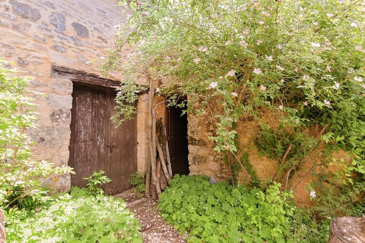 La Chaumière Deux, gîte rural aux Eyzies-de-Tayac-Sireuil - Photo 21