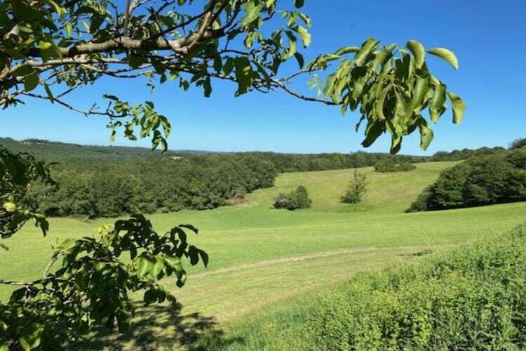 La Chaumière Deux, gîte rural aux Eyzies-de-Tayac-Sireuil - Photo 34