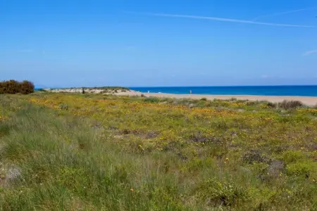 Ca la Vida, Villa pittoresque, Costa Blanca - Photo 34