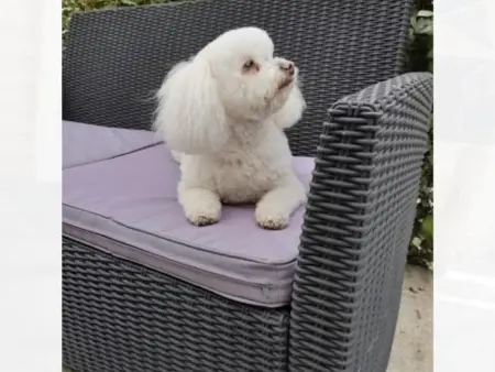 Charmante Maison Bourbonnaise du XVIIIe avec Animaux Acceptés - Photo 26