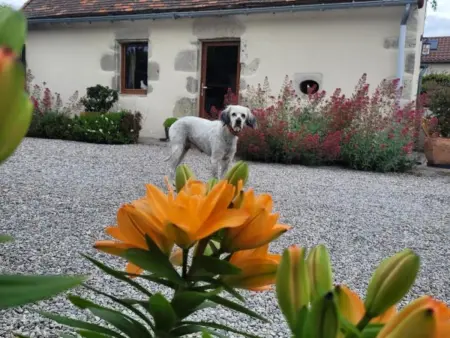Charmante Maison Bourbonnaise du XVIIIe avec Animaux Acceptés - Photo 30