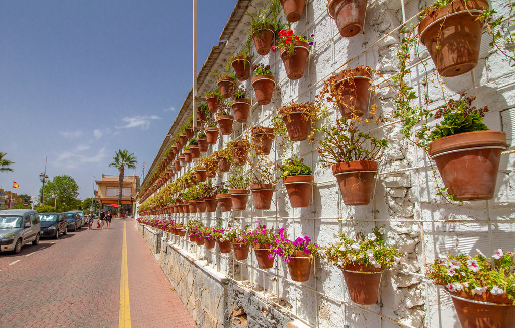 Maison 2 chambres à Los Alcázares, près de la plage - Photo 15