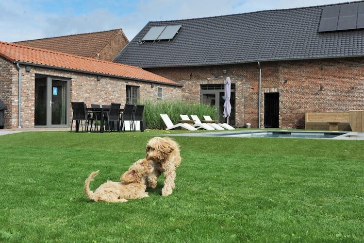 Het Vuchterhof – Gîte 2 pers. à Maasmechelen - Photo 7