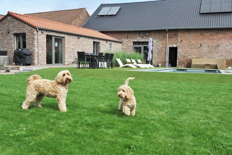 Het Vuchterhof – Gîte 2 pers. à Maasmechelen - Photo 24