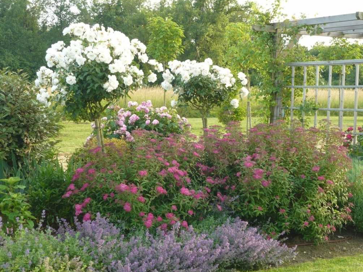 Gîte 17e siècle avec piscine couverte à Draché - Photo 21