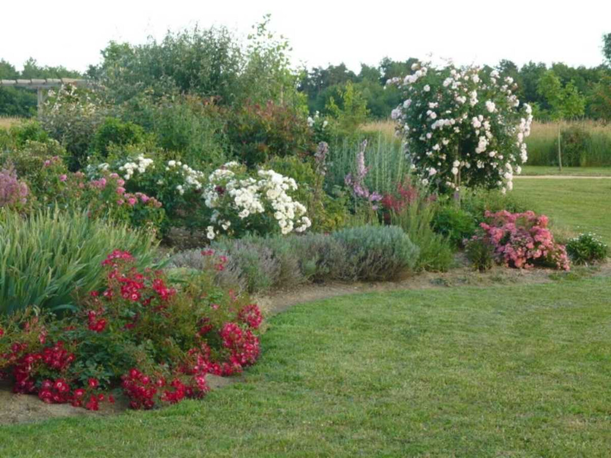 Gîte 17e siècle avec piscine couverte à Draché - Photo 23
