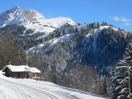 Chalet Sans Soucis, Chalet 6 personnes à Villars - Photo 29