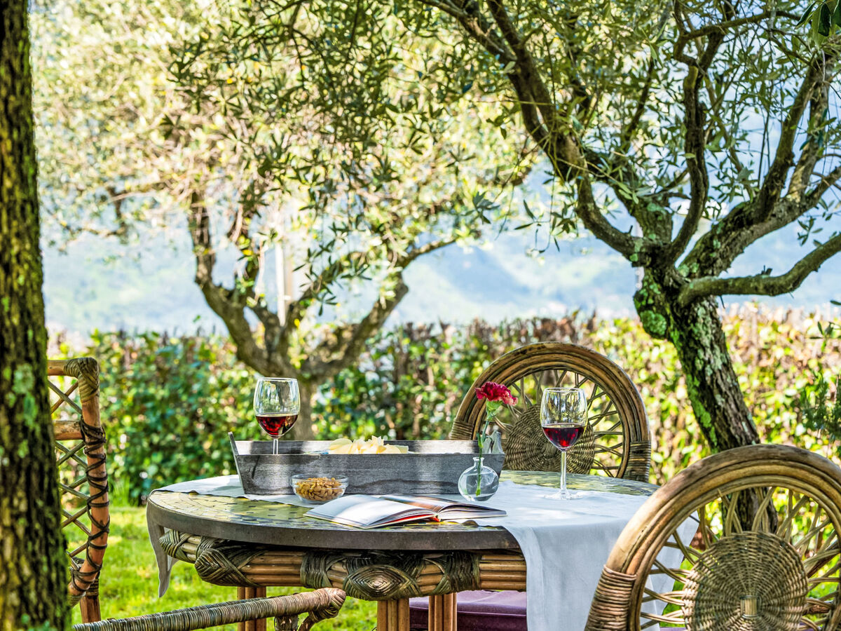 Villa Monica à Camaiore avec piscine et jardin - Photo 26