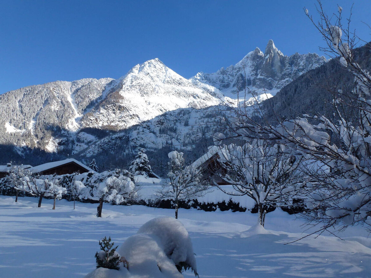 Mazot 35m² avec jardin vue Mont-Blanc à Chamonix - Photo 23