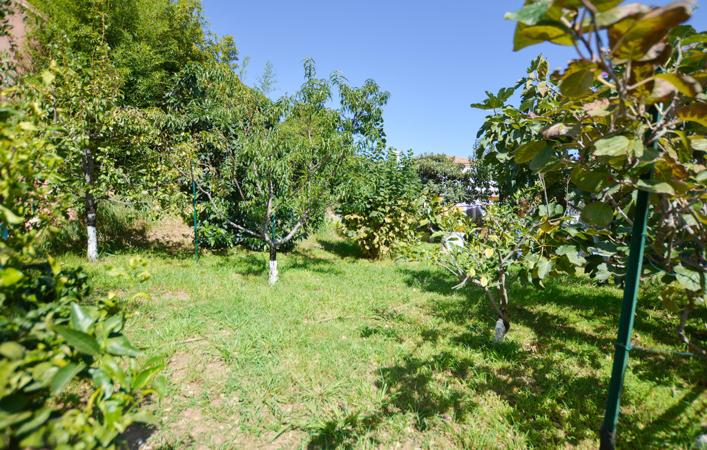 Maison 2 chambres avec piscine commune à San Nicolao - Photo 12