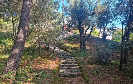 Location Maison 10 personnes à Saint Georges d'Oléron - Photo 10