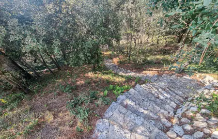 Location Maison 10 personnes à Saint Georges d'Oléron - Photo 11