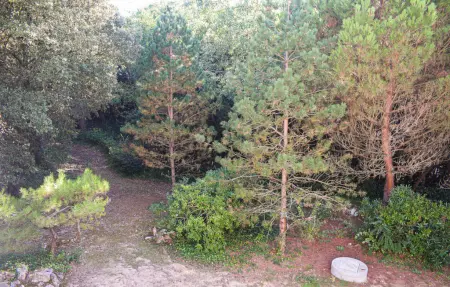 Location Maison 10 personnes à Saint Georges d'Oléron - Photo 14