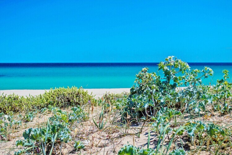 Maison 10 personnes Costa Rei, 300 m de la mer - Photo 16
