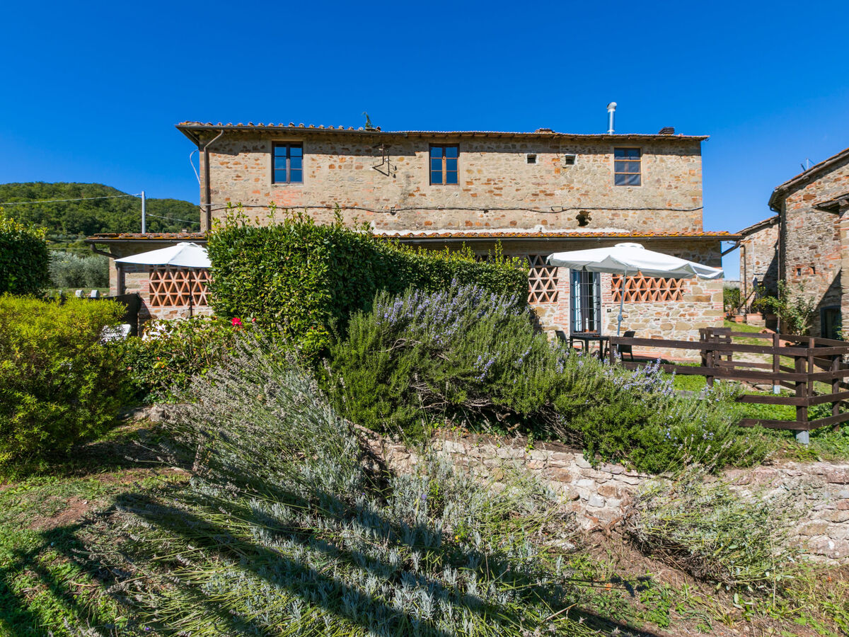 La Vigna, gîte rustique à Greve in Chianti - Photo 47