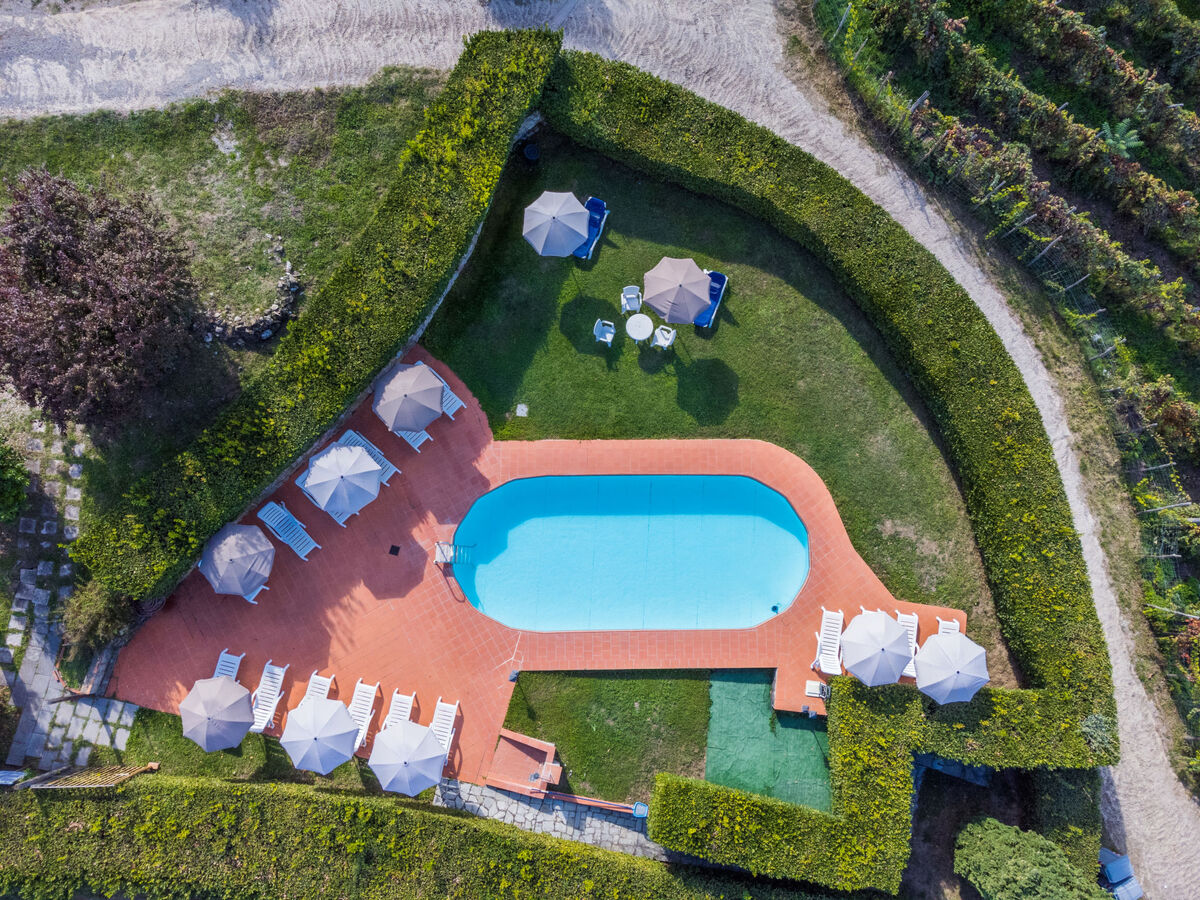 Gite Taverna, maison rustique en Chianti avec piscine - Photo 44