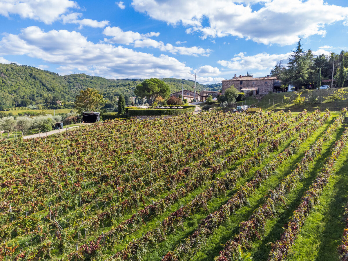 Gite Taverna, maison rustique en Chianti avec piscine - Photo 60