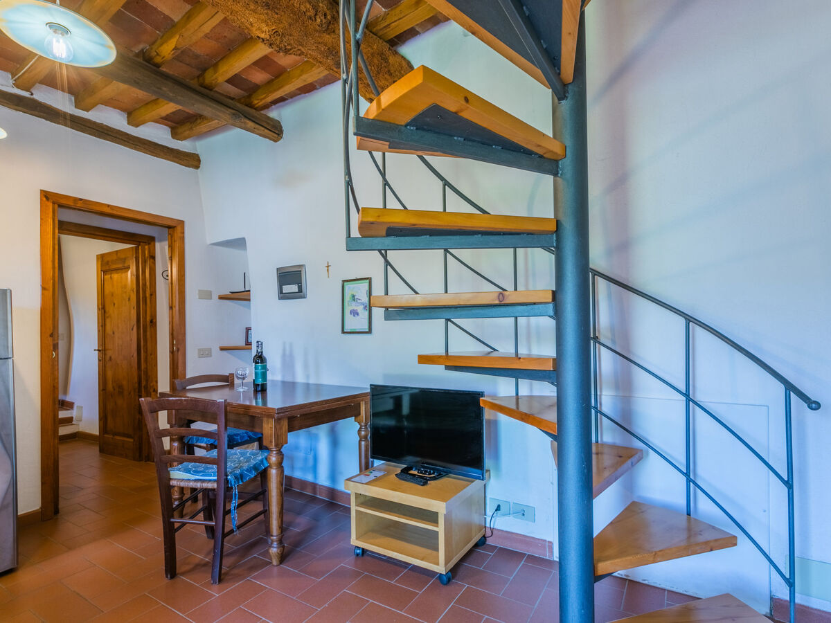 Olivo, gîte rustique en domaine viticole toscan - Photo 16