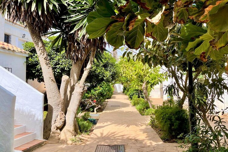 Los Kiwis : maison 6 pers. première ligne de plage - Photo 26