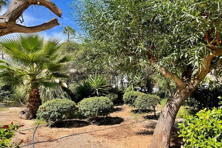 Los Kiwis : maison 6 pers. première ligne de plage - Photo 28