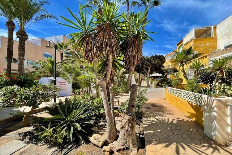 Los Kiwis : maison 6 pers. première ligne de plage - Photo 29