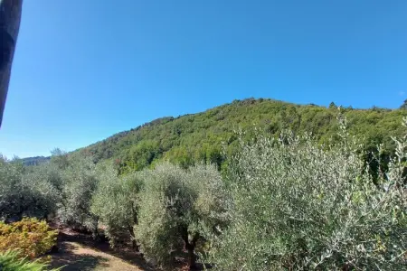 Casa Foce – Maison 6 pers. en Toscane rurale : photo 37
