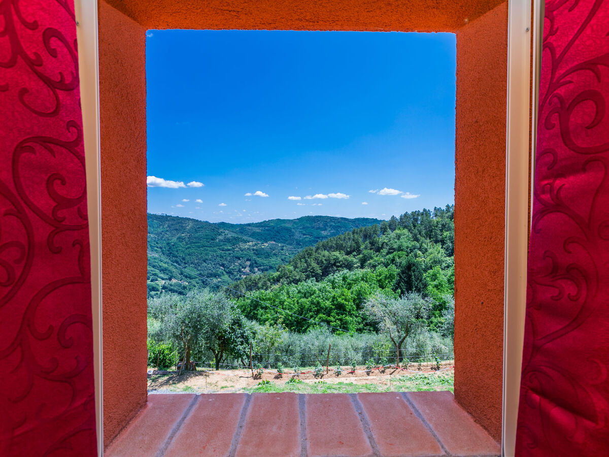 Red House – Gîte 4 pers. avec piscine à Pescia - Photo 26