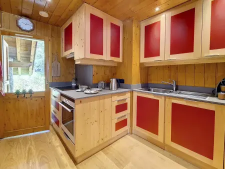 Chalet Méribel : Ski aux pieds, spacieux, lumineux avec cheminée - Photo 3