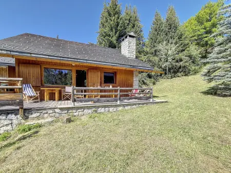 Chalet Méribel : Ski aux pieds, spacieux, lumineux avec cheminée - Photo 13