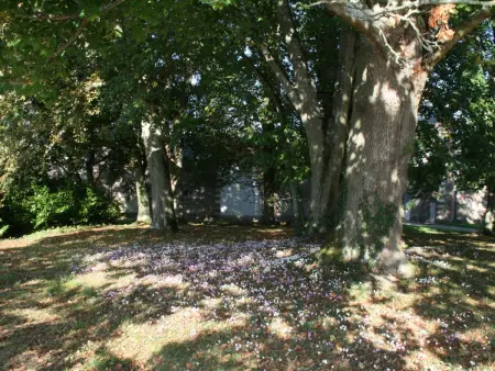 Gîte de la Fuye : château XVIIIe, piscine chauffée et sauna : photo 15
