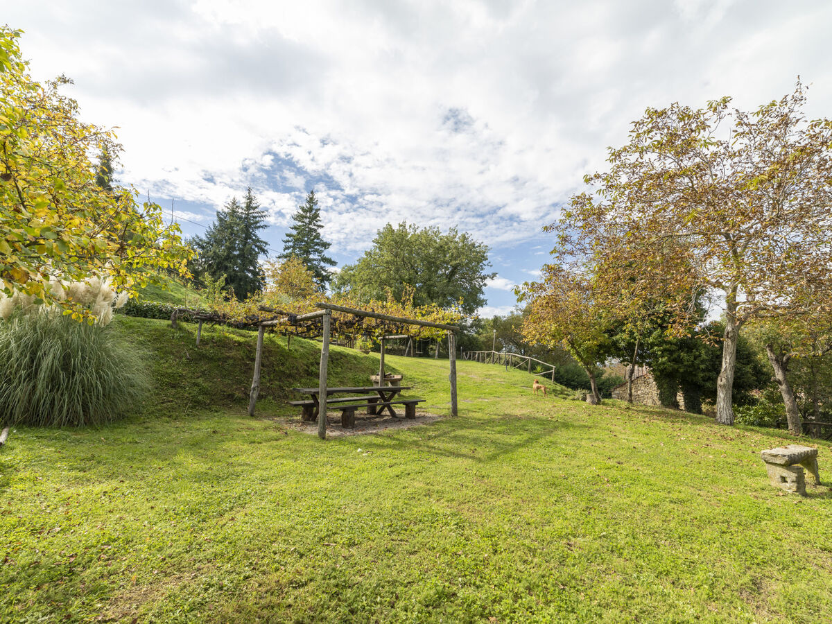 Il Feudo – Maison 5 chambres avec piscine à Cortona - Photo 63