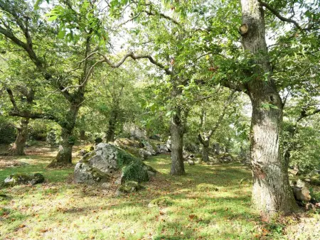 Turi, Maison 7 personnes à Sassofortino - Photo 37