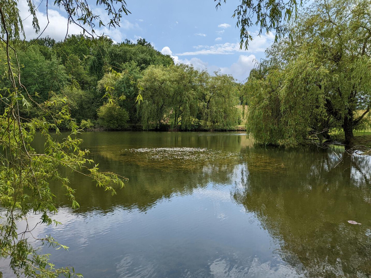 Gîte 8 personnes à Montmoreau : piscine et ferme pédagogique - Photo 6