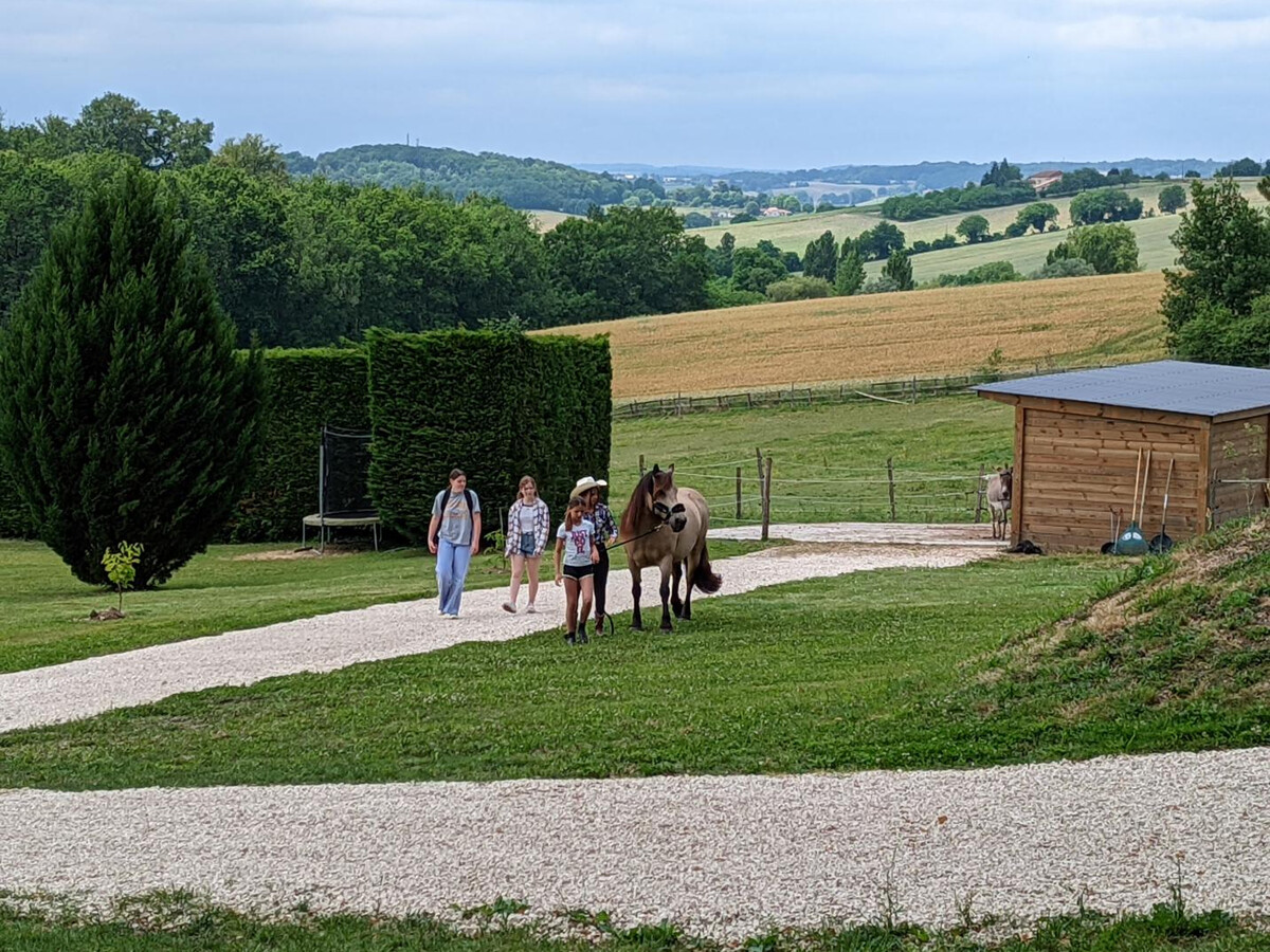 Gîte 8 personnes à Montmoreau : piscine et ferme pédagogique - Photo 13