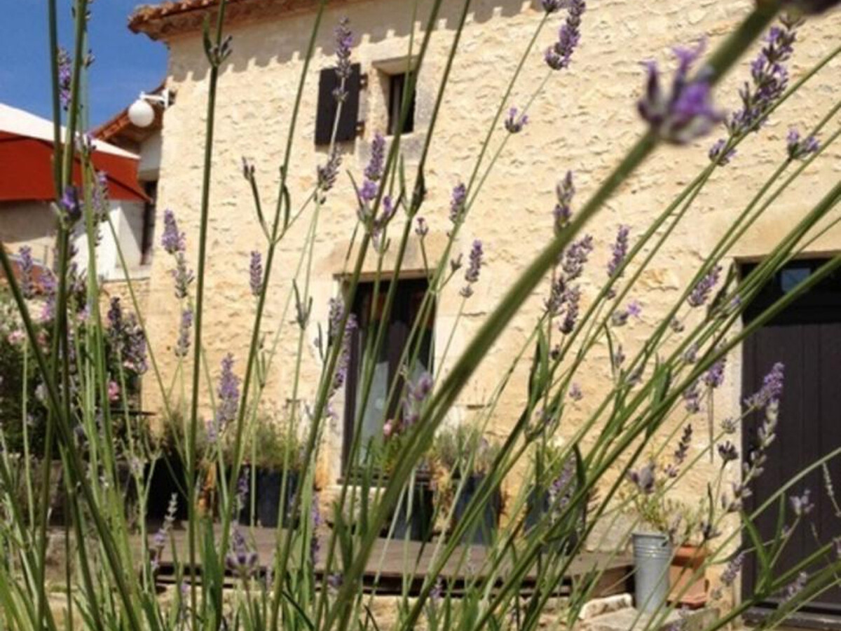 Gîte en pierre avec cheminée, jardin et accueil chevaux - Photo 34