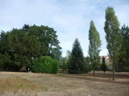 Gîte paisible avec jardins privatifs à Cognac, proche des sentiers de randonnée, animaux acceptés - Photo 17