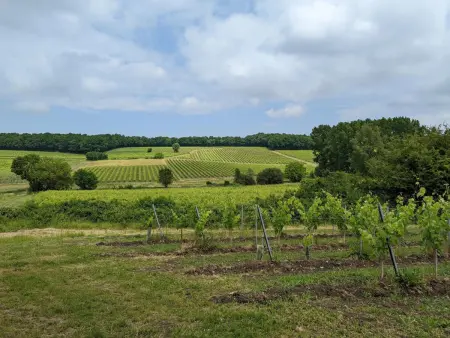Gîte 8 pers. piscine chauffée et jardin clos à Val des Vignes : photo 36