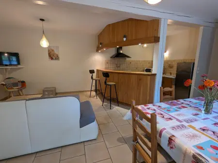 Maison rénovée près d'Angoulême avec jardin privé - Photo 8