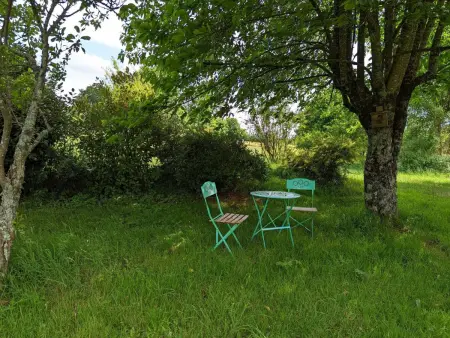 Spacieuse maison à Massignac avec jardin privatif - Photo 32