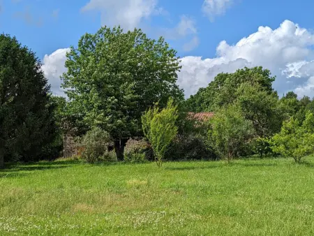 Spacieuse maison à Massignac avec jardin privatif - Photo 33
