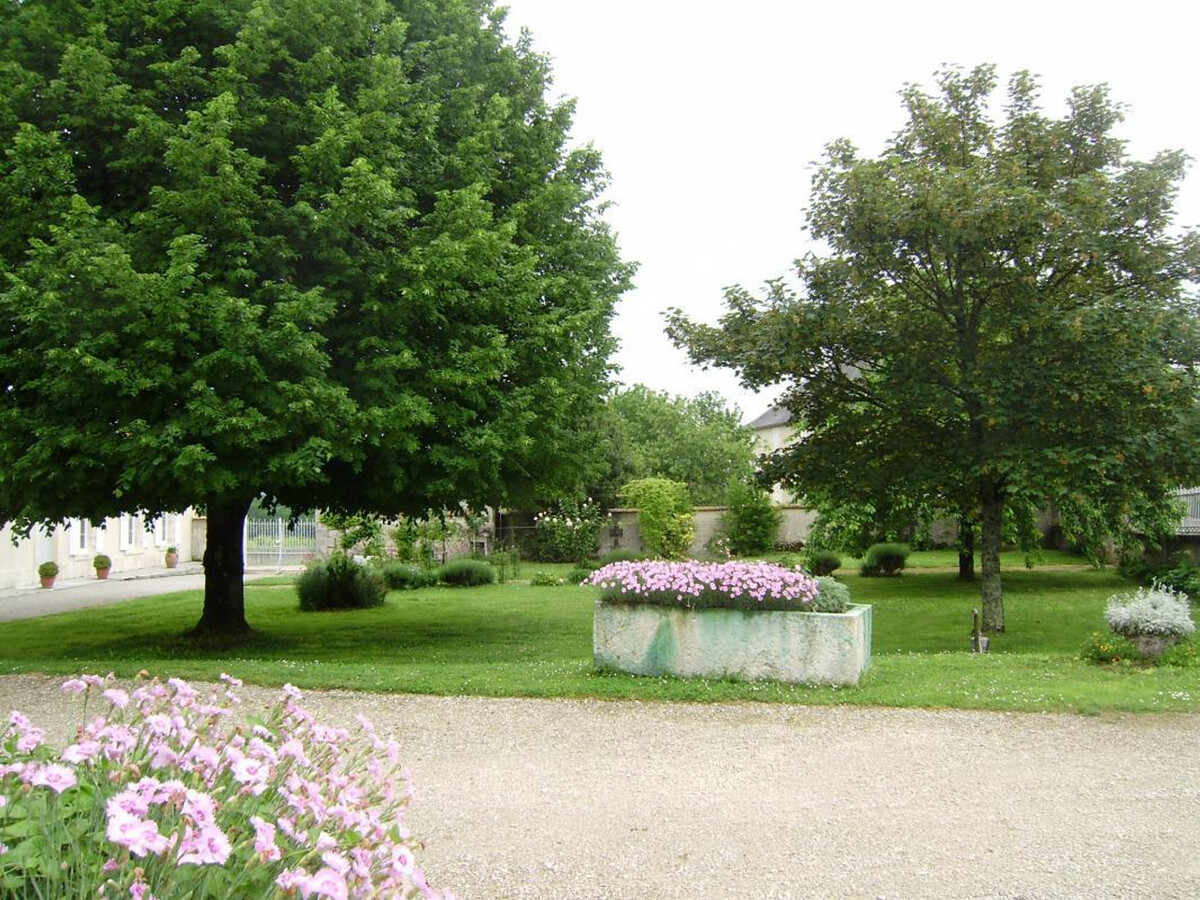 Gîte XVIIIe rénové avec grand jardin au cœur du vignoble de Cognac - Photo 29