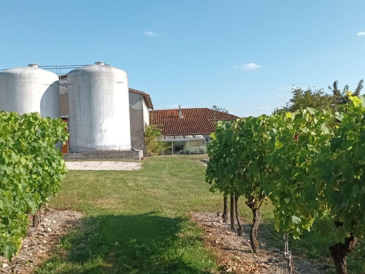 Gîte charentais XIXe, 6 pers., vue vignobles près Angoulême - Photo 28