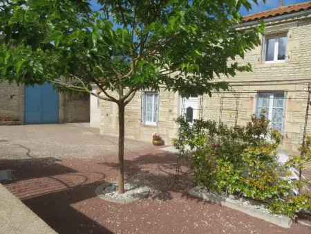 Maison lumineuse avec cour privative, proche sites culturels, tout confort, équipé bébé, wifi inclus - Photo 21