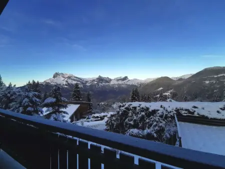 L'Adret, Maison 14 personnes à Saint Gervais - Photo 25