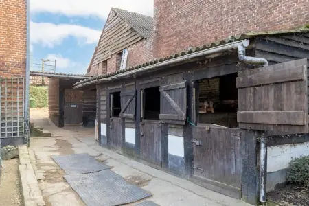 't Velmerhof, maison équestre au cœur du Limbourg : photo 18