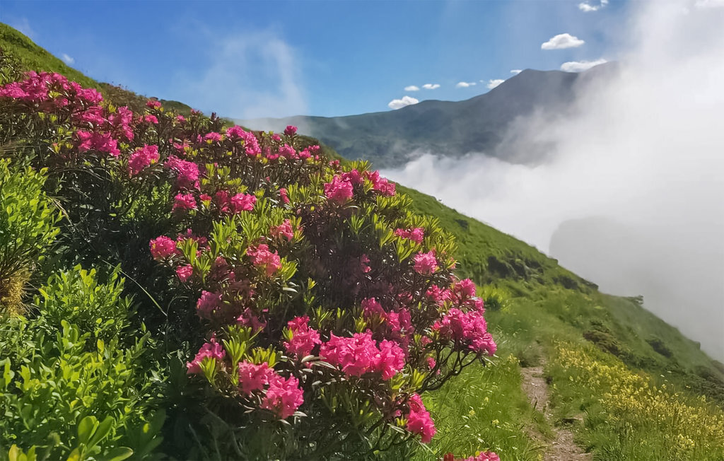 Maison montagne 6 pers., vue panoramique Pyrénées - Photo 17
