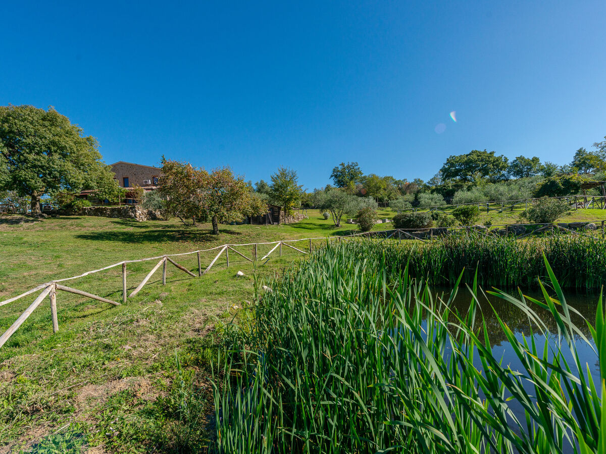 Meridiana – Maison 260m² piscine, Roccalbegna - Photo 67