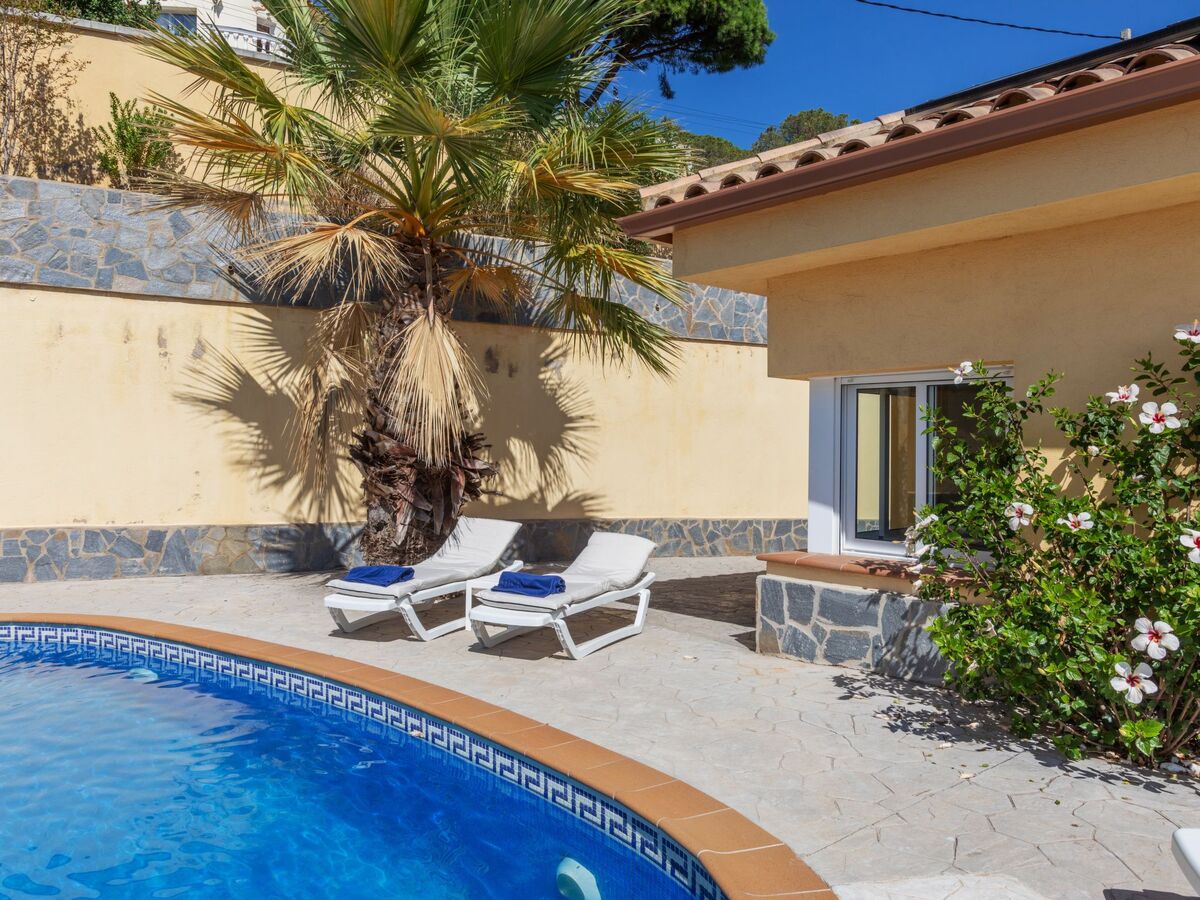 Floradise - Villa 5 chambres avec piscine à Lloret de Mar - Photo 37